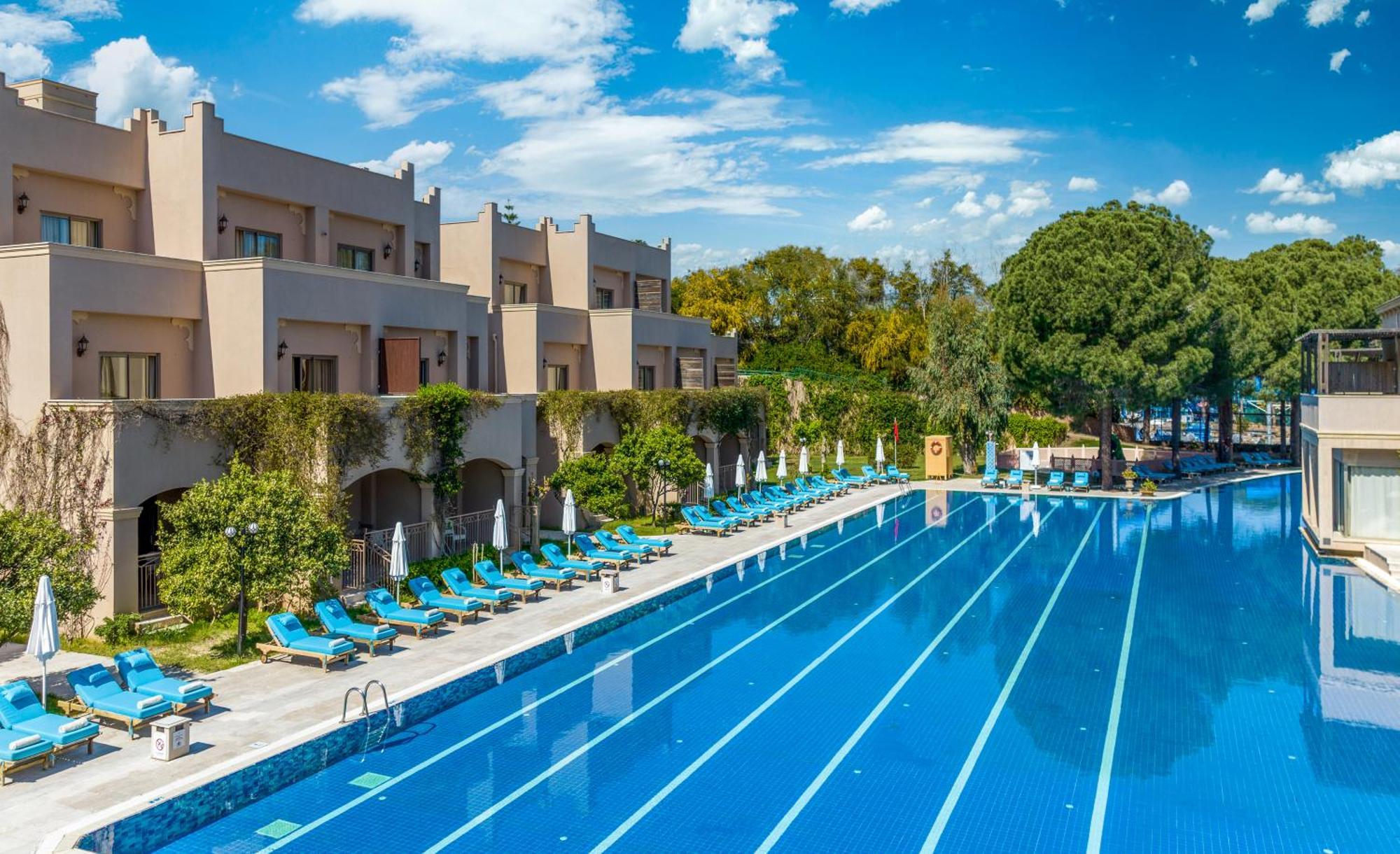 Spice & Belek
